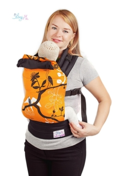 Эргономичный рюкзак "Воклю́з"